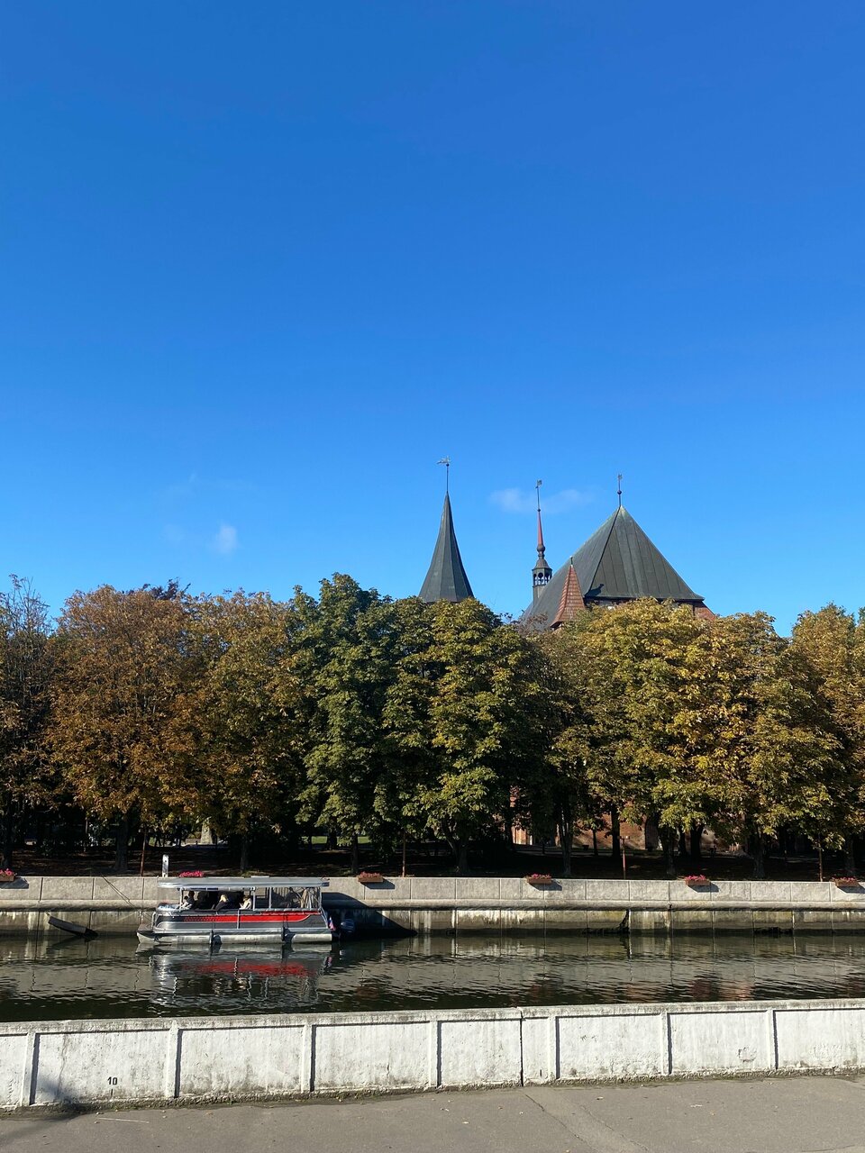 Гостиница Золотая бухта Калининград-175