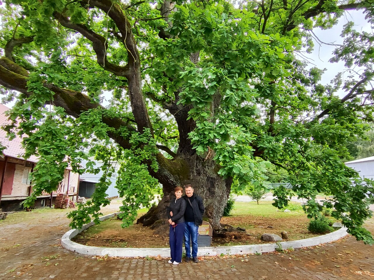 Гостиница Золотая бухта Калининград-145