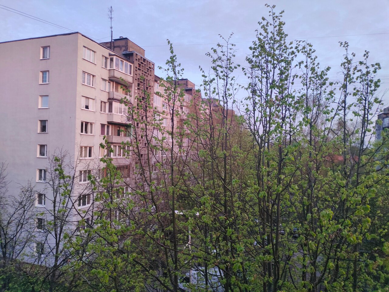 Гостиница Золотая бухта Калининград-197