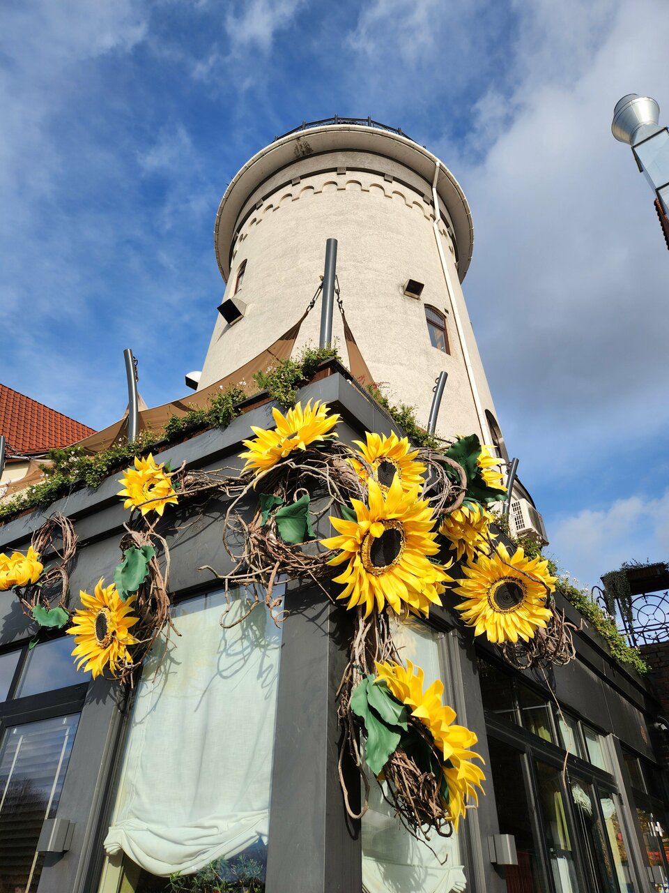 Гостиница Золотая бухта Калининград-140