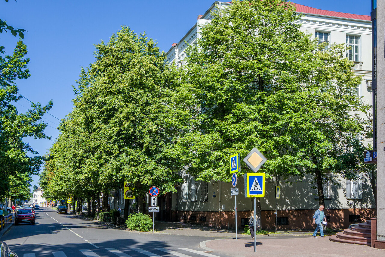 Гостиница Золотая бухта Калининград-39