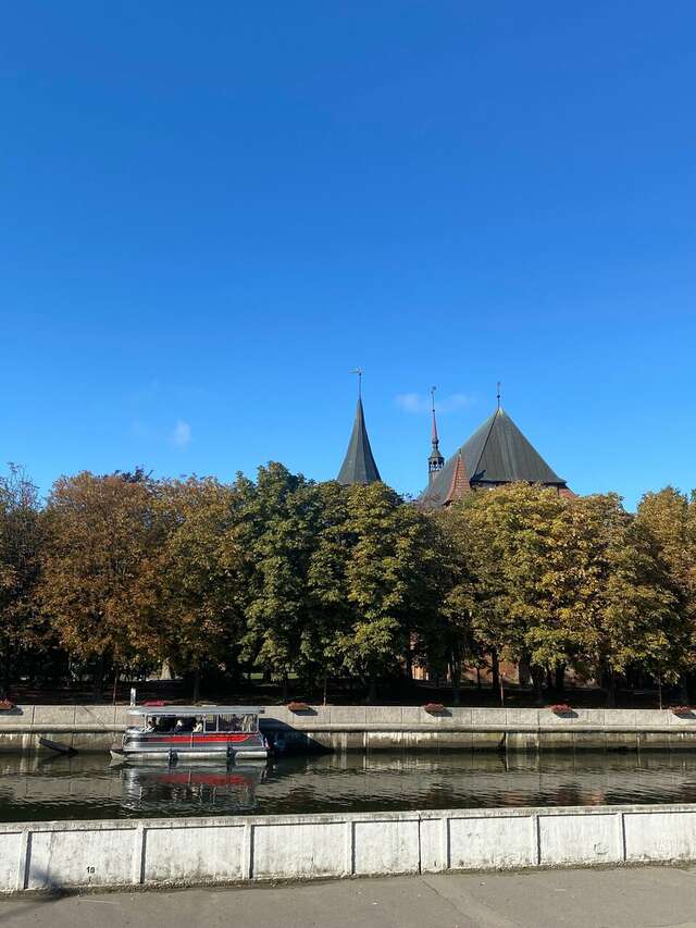 Гостиница Золотая бухта Калининград-174