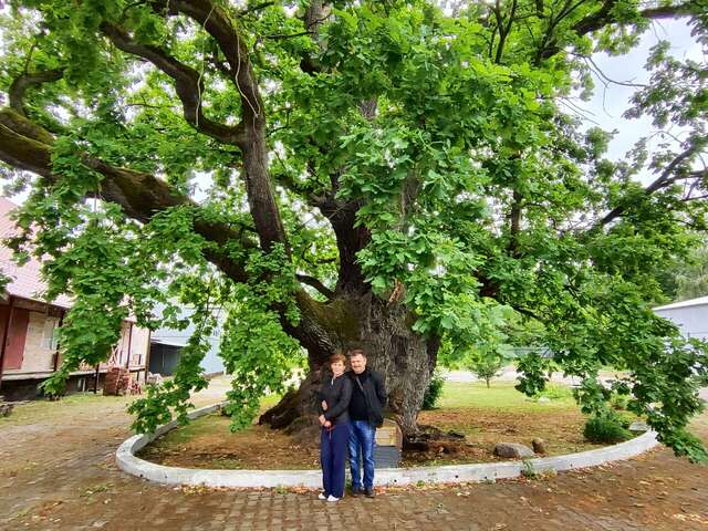 Гостиница Золотая бухта Калининград-144