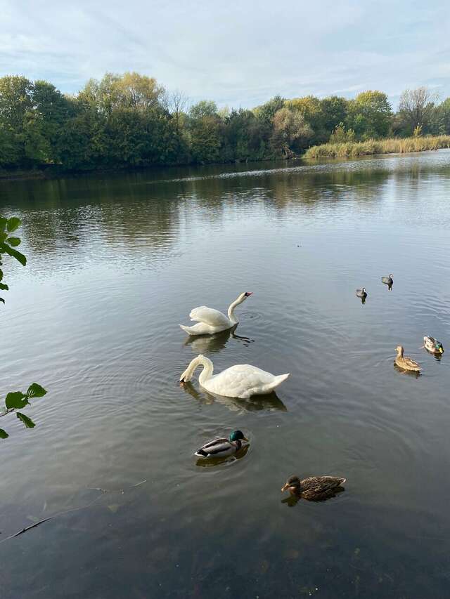 Гостиница Золотая бухта Калининград-133