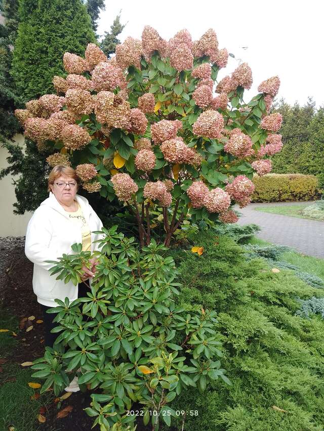 Гостиница Золотая бухта Калининград-153